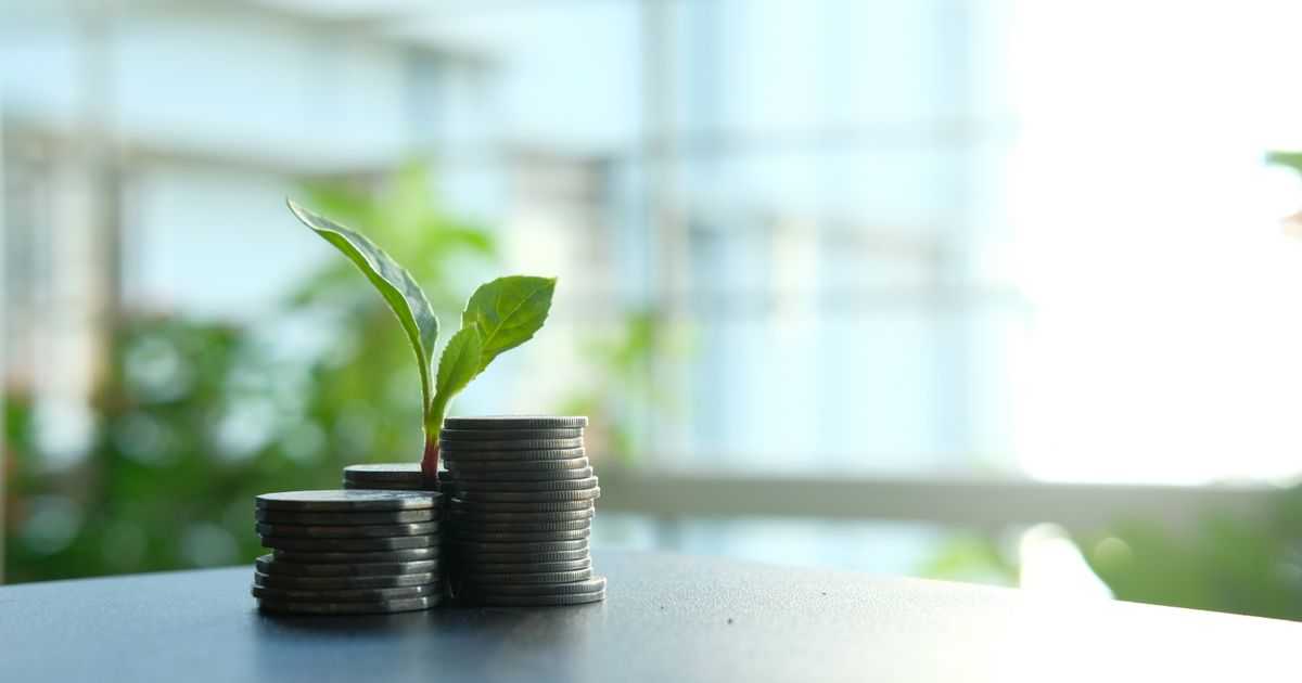 What Is the EU Taxonomy? Defining 'Sustainable,' Legally