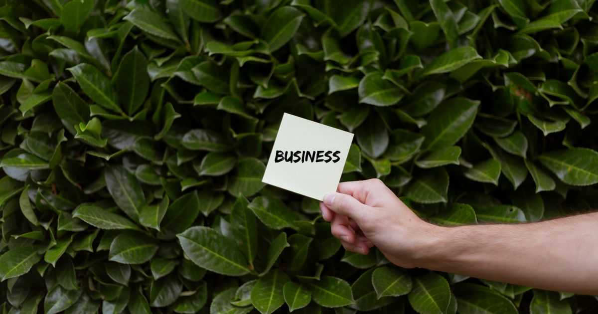 What Is VSME? Sustainability Reporting for SMEs, Without the Overkill